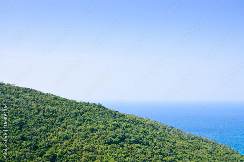 The View of green forest on mountainside with the sea