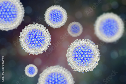 Hepatitis C virus model, 3D illustration. A virus consists of a protein coat, capsid, surrounding RNA and outer lipoprotein envelope with two types of glycoprotein spikes, E1 and E2 photo