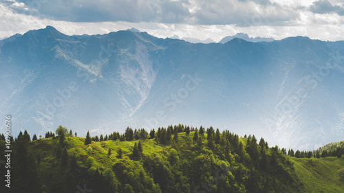 Bosco in alta montagna - alpi, Italia