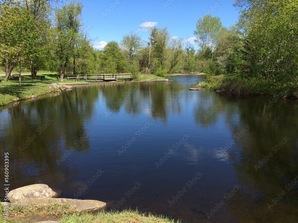 Obraz premium pond reflection