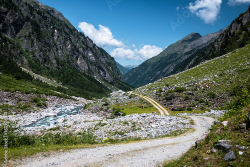 Forstweg durchs Floitental photo