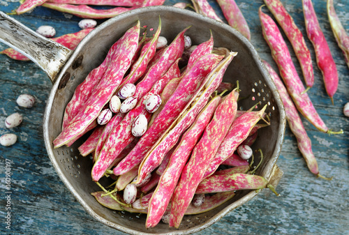 Fotografi Harvested pinto beans with pods in old rustic metal colander