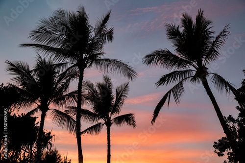 Hawaiian Sunset 02 photo