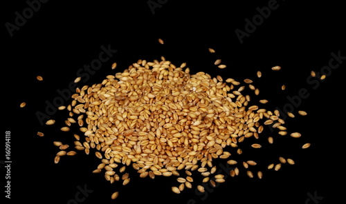 Wheat pile, grains, isolated on black background