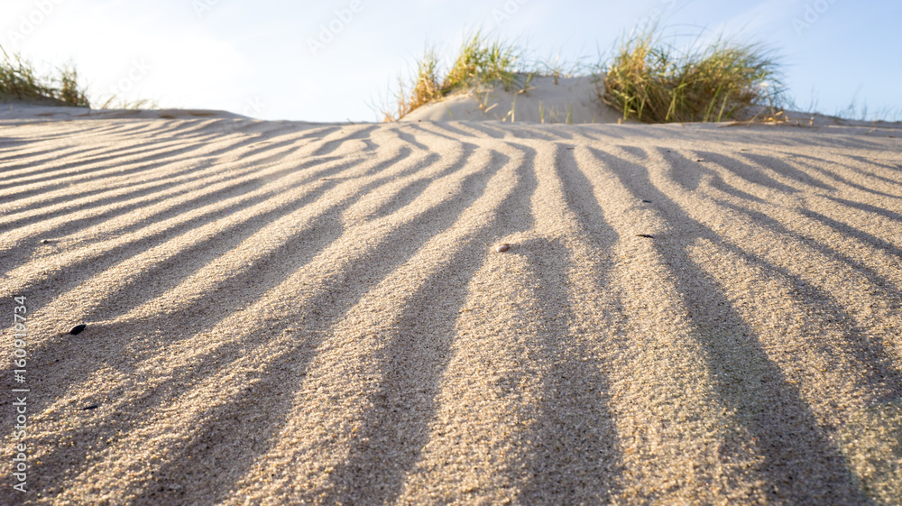 Dünenlandschaft am Meer Dünenlandschaft am Meer