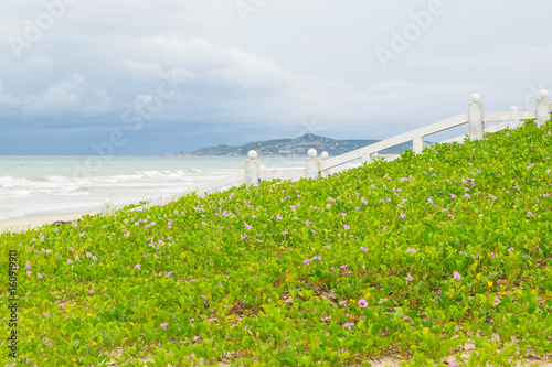Obraz na płótnie Sea beach landscape with beautiful promenade white fence and morning-glory (ipomoea) clump, Vietnam, Nha-trang w salonie