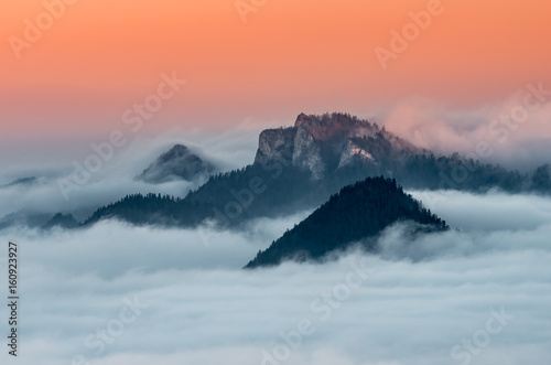 Fototapeta Naklejka Na Ścianę i Meble -  Poland landscape, Pieniny mountains in the sea of fog in the morning with Trzy Korony (Three Crowns) peak