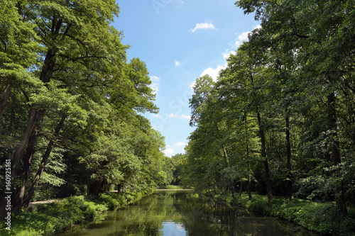 uferbepflanzung