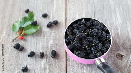 berries black mulberry