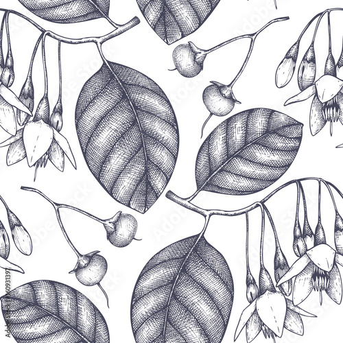 Vector background with Styrax tree