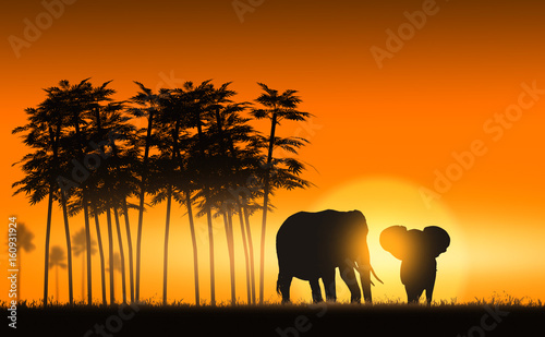 Canvas Print Savanna elephants at sunset