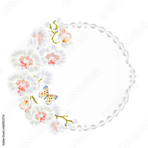 Floral vector round  frame with orchids White flowers tropical plants Phalaenopsis and cute small butterfly vintage  festive  background vector illustration hand draw. © zdenat5
