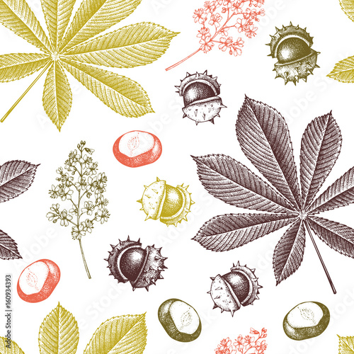 Decorative chestnut pattern