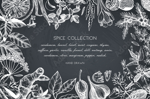 Hand drawn spices and herbs design