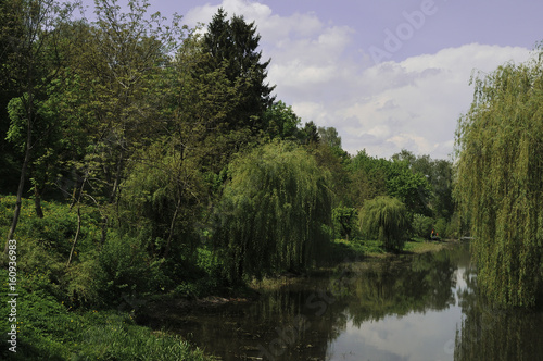 River in the summer