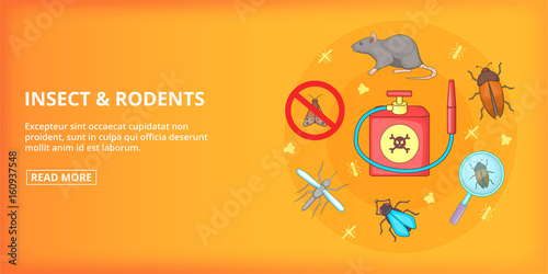 Insect rodents banner horizontal, cartoon style