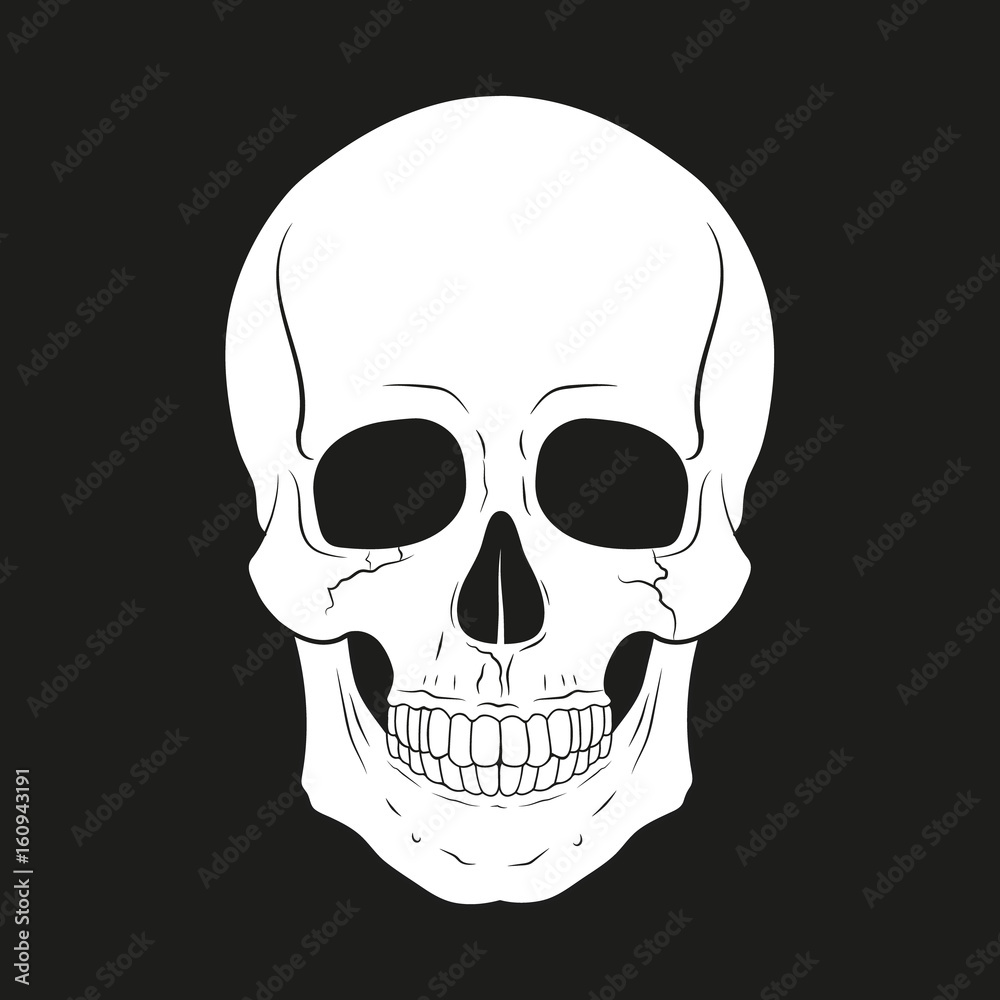 Obraz premium Vector illustration of skull.