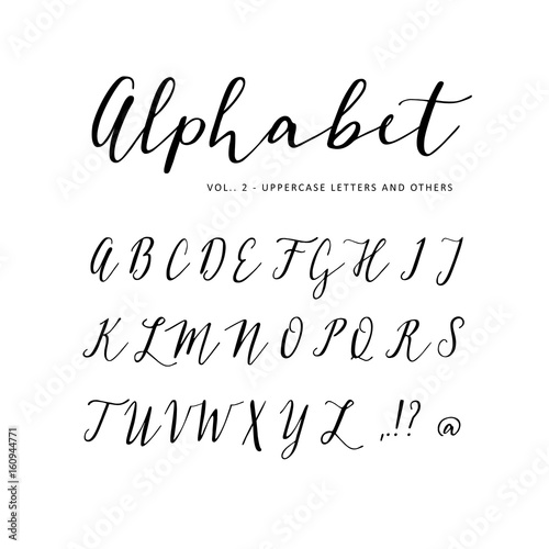 Hand drawn vector alphabet. Script font. Isolated letters written with marker  ink. Calligraphy  lettering.