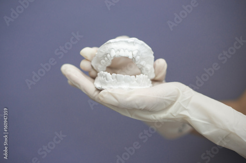 Dentist hand with plaster model photo