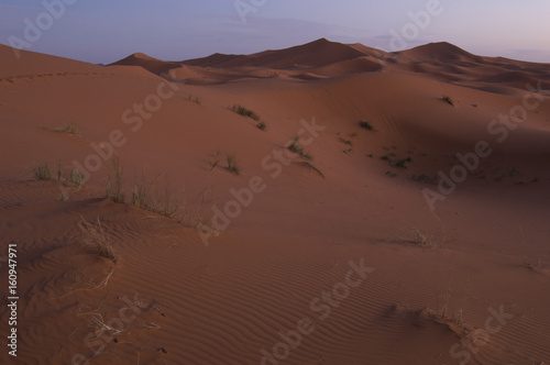 Erchebbi desert in to morocco