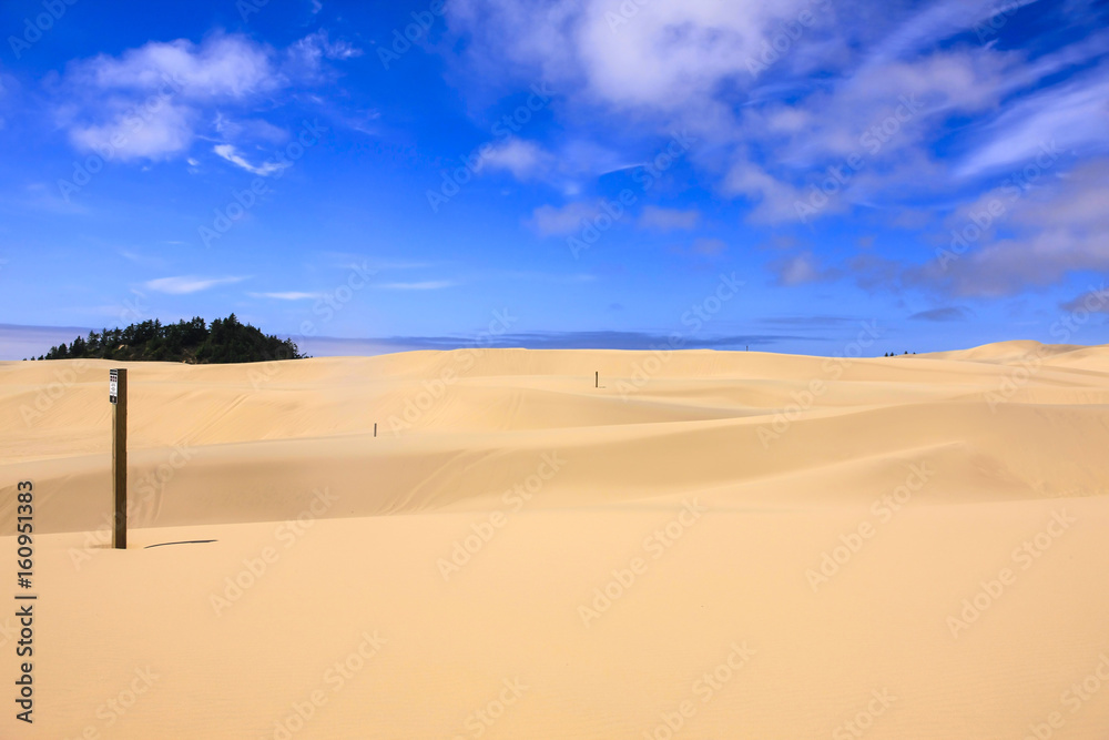 Sand Dunes in the Jessie M. Honeyman Memorial State Park in Oregon, USA