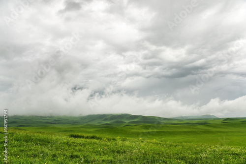 Pre-storm weather in the field. Beautiful dramatic landscape with low dark clouds and a green field © yanik88