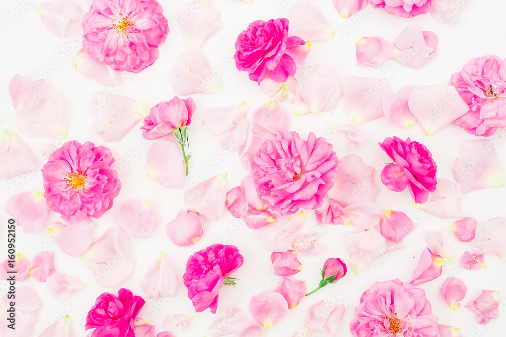 Pink rose flowers and petals on white background. Flat lay, top view. Floral pattern