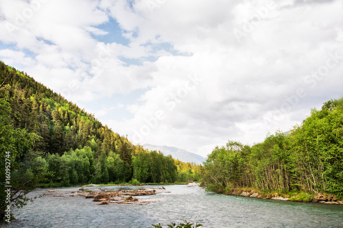Mixed forest on the bank of a mountain river against the background of the Caucasus Mountains