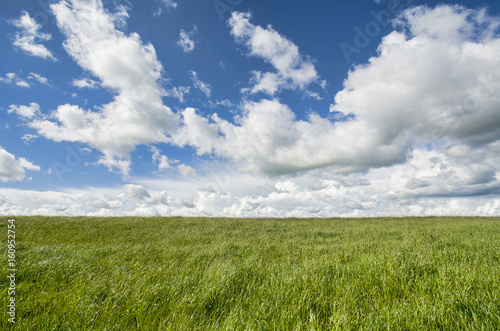 Grass Sky Landscape