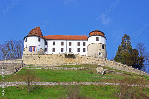 Castle Sevnica, Slovenia