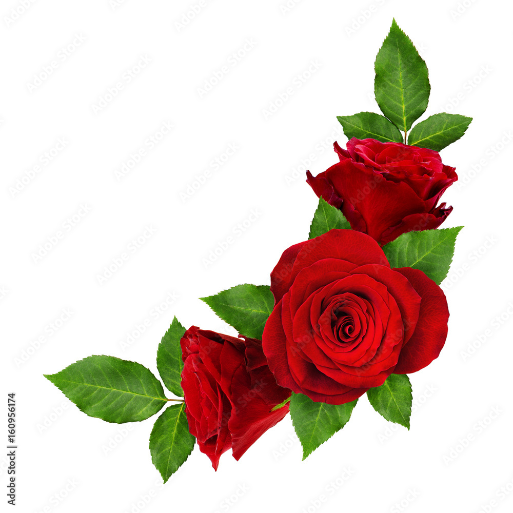 Naklejka premium Czerwone kwiaty róży w układzie narożnym