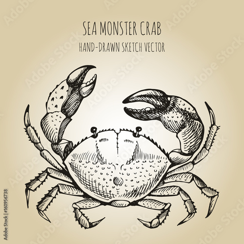 Vector linear illustration of crab  isolated on paper background. Hand drawn sketch vector