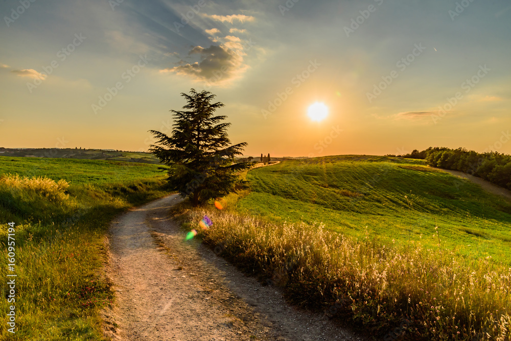 Obraz premium Extraordinary panorama of the Siena countryside, in the valley of the valley