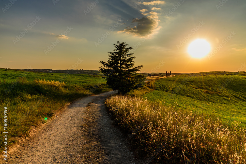 Obraz premium Extraordinary panorama of the Siena countryside, in the valley of the valley
