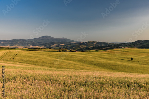 Extraordinary panorama of the Siena countryside, in the valley of the valley