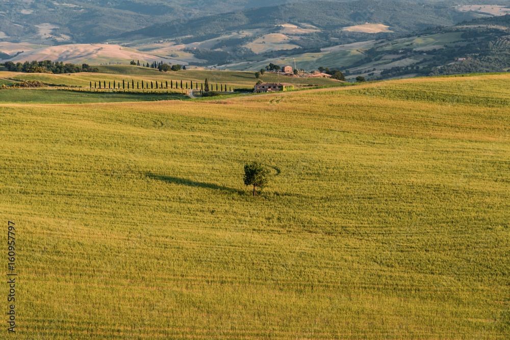 Obraz premium Extraordinary panorama of the Siena countryside, in the valley of the valley