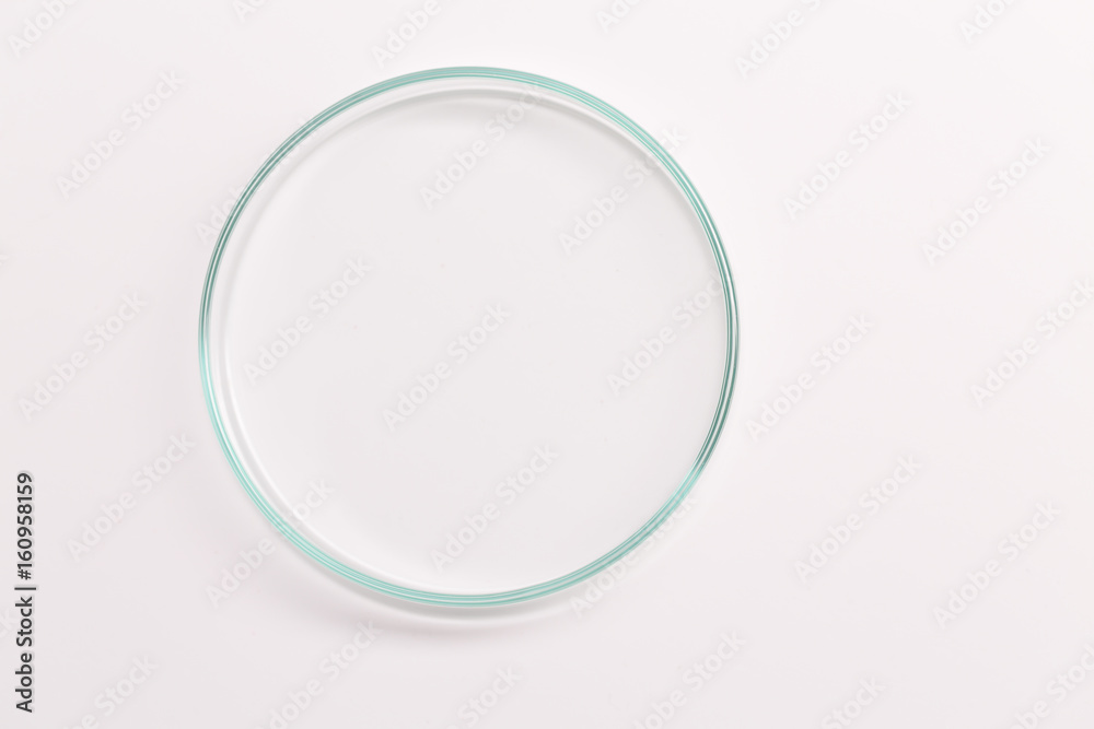 Empty petri dish for growing cultures of microorganisms , fungi and microbes. A Petri dish  ( Petrie dish. Petri plate or cell-culture dish) - obrazy, fototapety, plakaty 