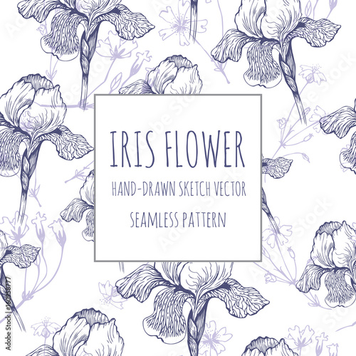 Iris flower. Hand-drawn vector Vector seamless pattern