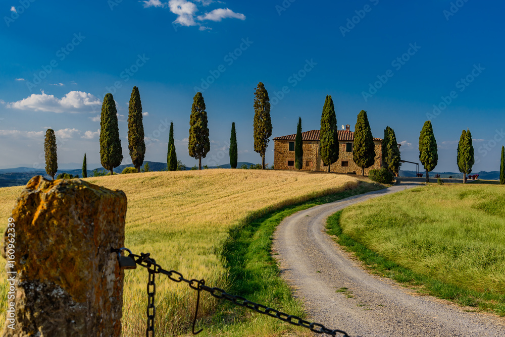 Rural landscape of valleys in summer in the province of siena in tuscany italy