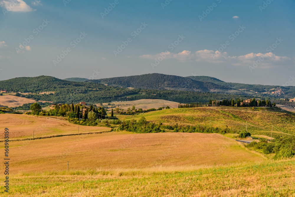 Idyllic panorama of the valley of the orcia in tuscan province of siena in summer with cultivated fields