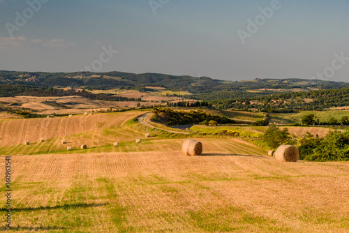 Idyllic panorama of the valley of the orcia in tuscan province of siena in summer with cultivated fields photo