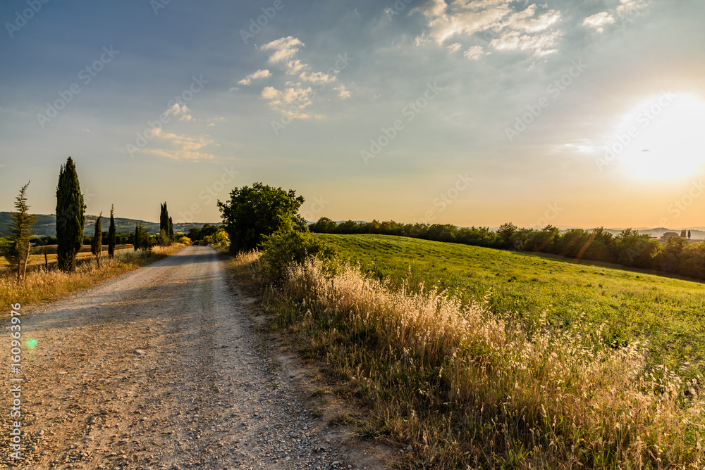 Fototapeta premium Idyllic panorama of the valley of the orcia in tuscan province of siena in summer with cultivated fields