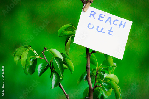 Motivating phrase reach out. On a green background on a branch is a white paper with a motivating phrase.