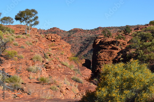 Kings Canyon landscape