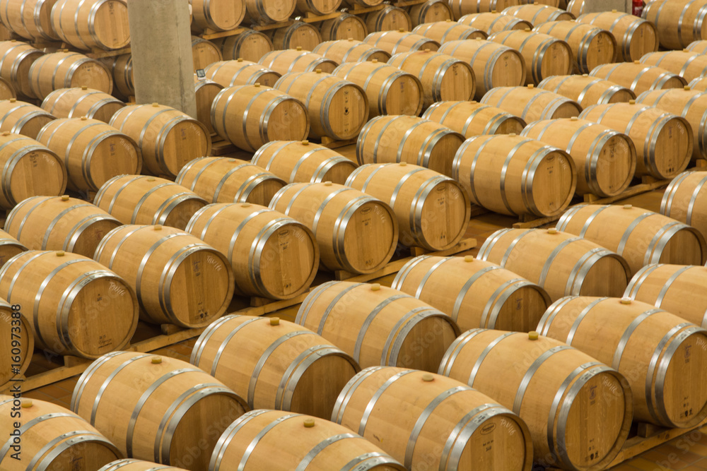 Wine barrels stacked in the cellar of the winery.