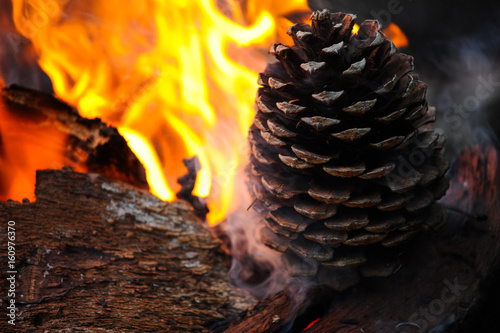 campfire photo