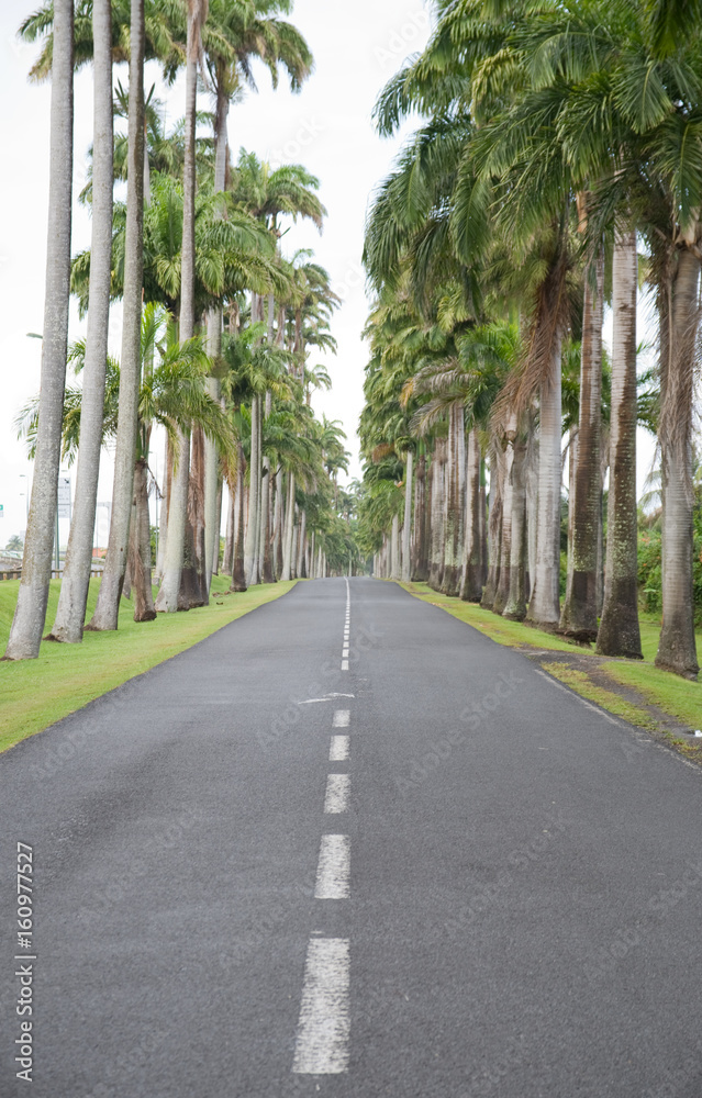 Allée Dumanoir, Capesterre Belle-Eaux 
