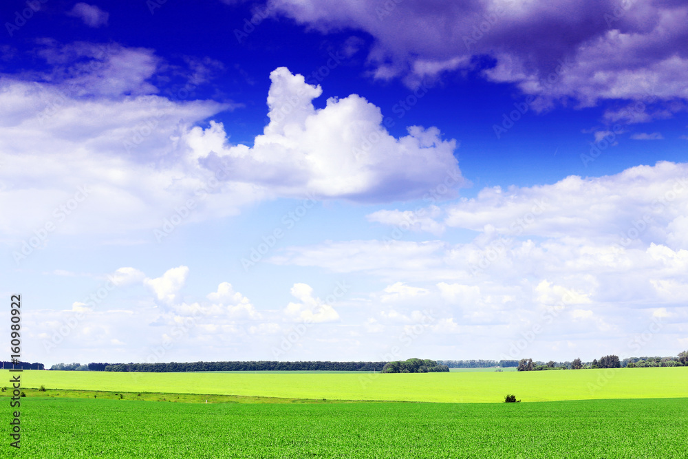 Obraz premium Blue sky with clouds and green grass