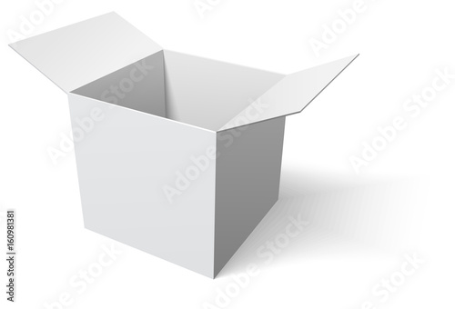 Open box on white background. Stock Vector