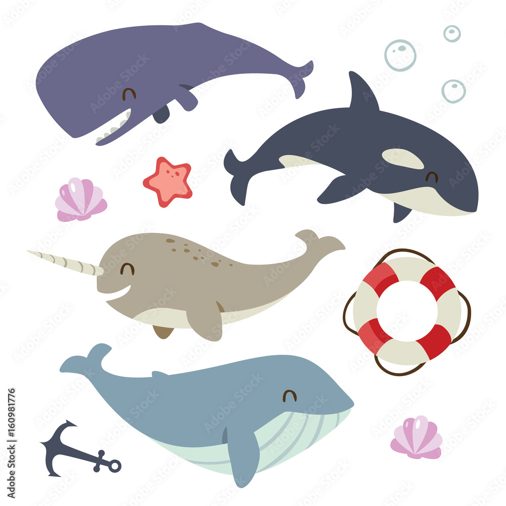 Naklejka premium vector blue whale, sperm whale, narwhal and killer whale set